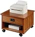 Craftsman Printer Cart 15"hx20.5"w Dark Oak