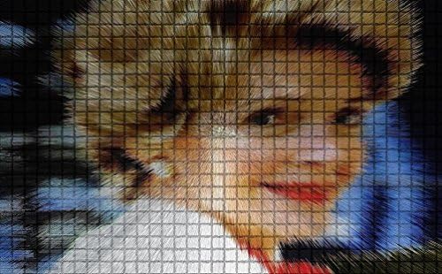 The White house Mosaic - The Nancy Reagan Collection - 12 x 16 a limited edition of 10 Giclee's per image.