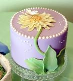 Elegant Cheese Cakes Daisy Delight
