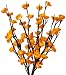 Gerson Everlasting Glow 20-Inch Battery Operated Cherry Blossom Branch, Amber