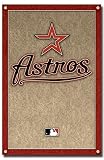 Houston Astros (New Logo) Sports Poster Print - 24 X 36