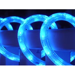 10Ft Rope Lights; 3Wires Neon Blue LED Rope Light Kit; Christmas Lighting; outdoor rope... by DiodeArt