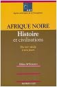 Afrique Noire Histoire et Civilisations Xixe Xxe Siecles (2e Edition)