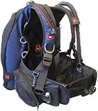 Hollis Heavy Duty Wieght Integrated BC ( HD100 )