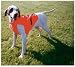 Hallmark 11702 HI-VIZ Body Guard Dog Hunting Vest - Large