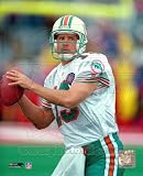 Dan Marino 8x10 Color Photo Miami Dolphins Action Photo
