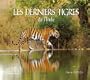 Les derniers tigres de l'Inde
