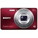 Sony DSC-W690R Cyber-shot Digitalkamera (16,1 Megapixel, 10-fach opt. Zoom, 7,5 cm (3 Zoll) Display, 25mm Weitwinkel, Schwenkpanorama) rot