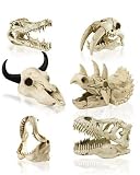 K&A Imports Mini Dinosaur-Skull Ornaments, Set of 18