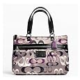 Coach Daisy Optical Print Tote F22961