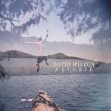 David Wilcox Reverie
