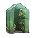Gardman 7622 Walk-in Greenhouse