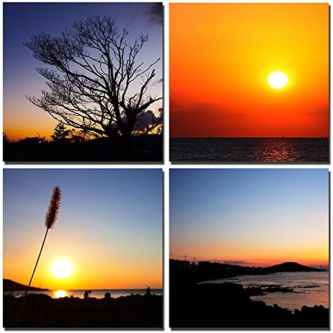 Gardenia - Jeju Island Landscape Canvas Wall Art Prints 12 x 12 Inch Stretched and Framed Modern Decor Paintings Giclee Artwork for Living Room and Bedroom Decorations Artistic Trees and Setting Sun