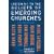 Listening to the Beliefs of Emerging Churches: Five Perspectives