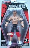 TNA DELUXE IMPACT 2 AMAZING REDIMAGE