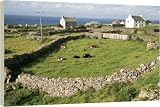 Box Canvas Print of Walled fields from Robert Harding