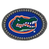 Florida Gators NCAA Team Logo Pewter Lapel Pin