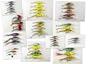 Wholesale/Bulk Lot of 51 New Born-To-Fish Crankbait Fishing Lures Holiday Gift pack