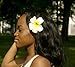 3 - Pack Rose Flowers with Green Leaves - Pink, Purple, White 3.5 inch Life-Like Foam Flower Hair Barrette