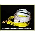 Vedante Super Reflective 6-Foot Dog Leash (Gold)