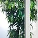 Sonnenschutzfolie FX-Silver-20 (152 cm * 1 lfm) Aussen