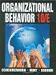 Organizational Behavior