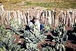Man With Huge Greens, 1940s Photograph - Beautiful 16x20-inch Photographic Print from the Library of Congress Collection