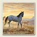 Never Broken Wild Horse, Set of 4 Ceramic Coasters