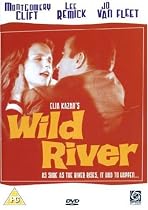 Wild River [DVD] [1960]