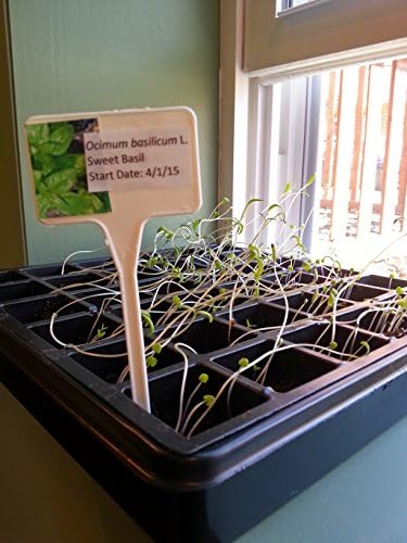 30 T-Shaped Garden Plant Labels by GrowHobby - 5 3/4" by 2" - Large Waterpoof and UV Resistant Writing Area