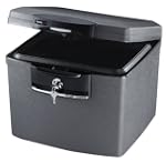 SentrySafe H4100 Fire-Safe Waterproof...