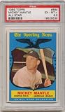 Clean Sweep Auctions