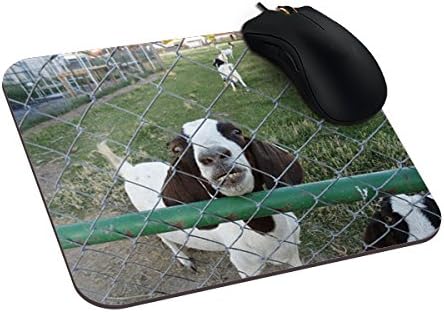 Refiring Farm Animals Mouse Pad
