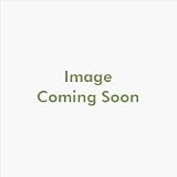 Jacuzzi DA34-826 Drain Kit, Brushed Nickel