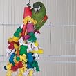 Bird Toy - Wild Series - Madcap Challenge Toy - Great Toy for Medium to Large Birds