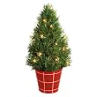 FTD Bright Lights Rosemary Holiday Tree