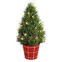 FTD Bright Lights Rosemary Holiday Tree