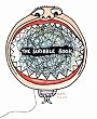 The Scribble Book