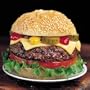 Omaha Steaks 4 oz. Omaha Steaks Burgers