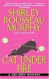 Cat Under Fire