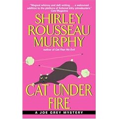 Cat Under Fire