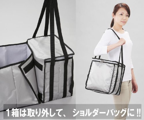 2WAY 折り畳める保冷付収納BOX&BAG