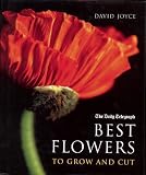 The Best Flowers to Grow and Cut