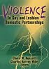 Violence in Gay and Lesbian Domestic Partnerships (Monograph Published Simultaneously As the Journal of Gay & Lesbian Social Services , Vol 4, No 1) (Monograph ... Gay & Lesbian Social Services , Vol 4, No 1)