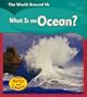 What Is an Ocean? (World Around Us)