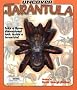Uncover A Tarantula: Take A Three-Dimensional Look Inside A Tarantula!