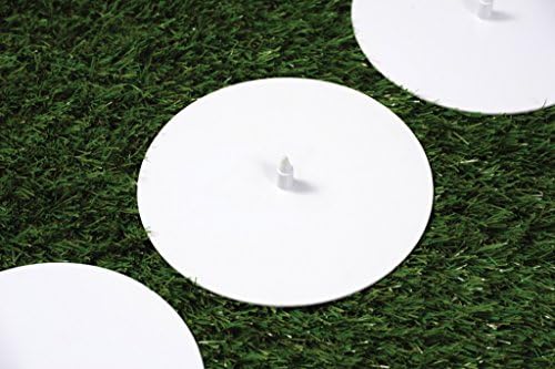 Graddige Fielding Disks