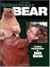 Chainsaw Carving a Bear