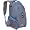 Gray/Blue