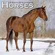 Horses 2010 Wall Calendar